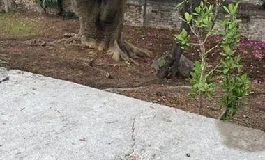 Terreno en Venta  Héroes de Padierna, atrás Angeles Pedregal