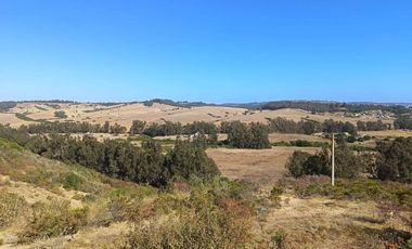 CONDOMINIO CAMPO LINDO EL TABO