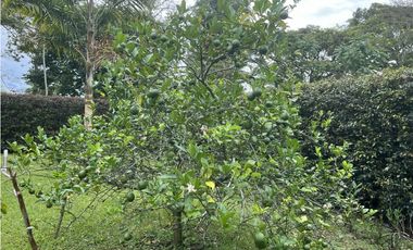 ALQUILER  CASA CAMPESTRE AMOBLADA - ARMENIA