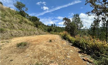 Venta de Lote En El Retiro Carrizales