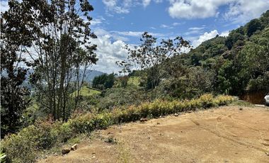 Venta de Lote En El Retiro Carrizales