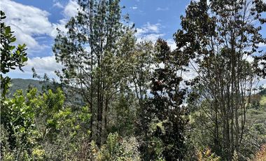 Venta de Lote En El Retiro Carrizales