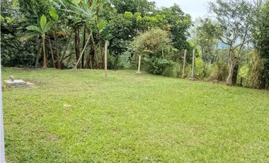 Vendo finca en Circasia Quindio vereda la cristalina
