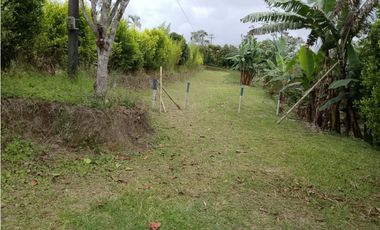 Vendo finca en Circasia Quindio vereda la cristalina