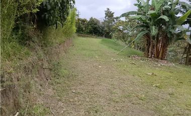 Vendo finca en Circasia Quindio vereda la cristalina
