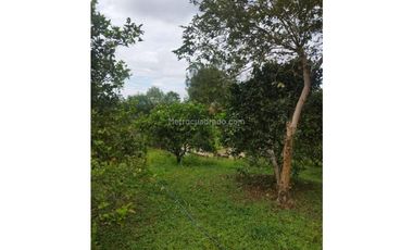 FUSAGASUG FINCA EN VENTA 64000M2