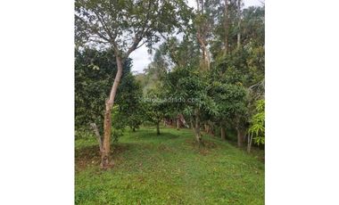 FUSAGASUG FINCA EN VENTA 64000M2