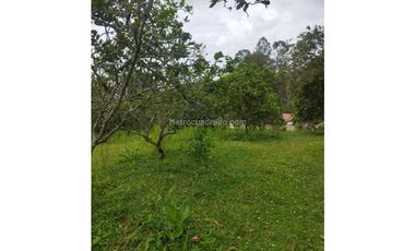FUSAGASUG FINCA EN VENTA 64000M2