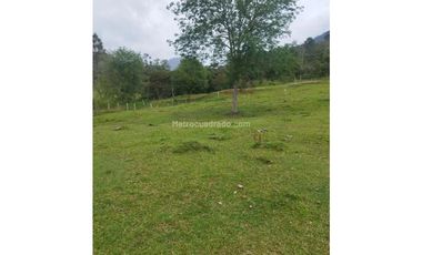 FUSAGASUG FINCA EN VENTA 64000M2