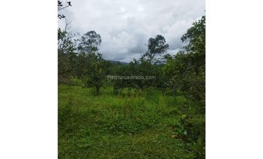 FUSAGASUG FINCA EN VENTA 64000M2