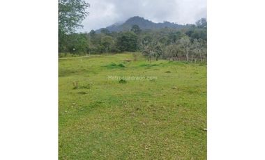 FUSAGASUG FINCA EN VENTA 64000M2
