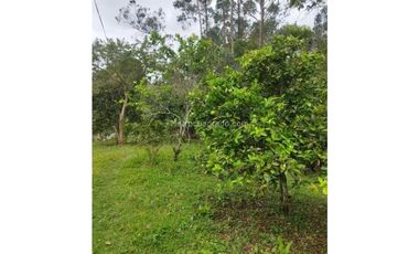 FUSAGASUG FINCA EN VENTA 64000M2