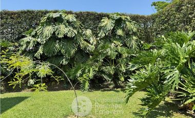 Casa Amoblada en conjunto, en arriendo, El Rosario, Manizales