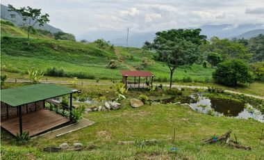 Venta De Lote En Parcelación, San Jeronimo