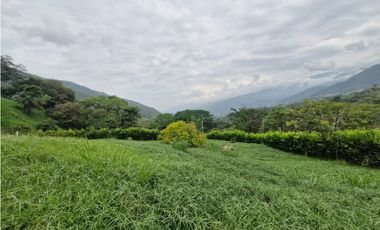Venta De Lote En Parcelación, San Jeronimo