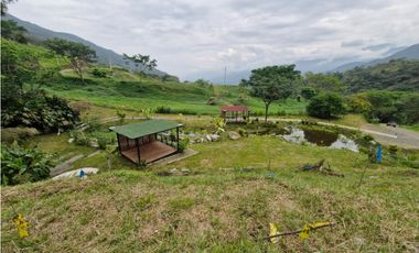 Venta De Lote En Parcelación, San Jeronimo