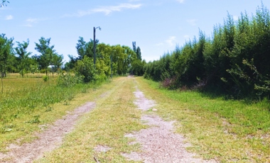 COMPLEJO EN VENTA - CUADRO BENEGAS SAN RAFAEL MENDOZA