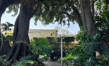 Amueblado