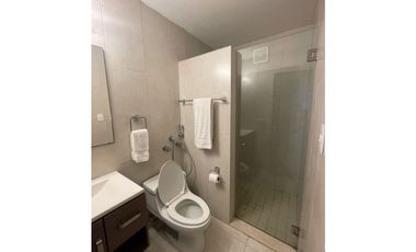 Alquilo apartamento Ph Brisas Obarrio