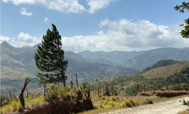 CHAME / SOR / 3088M / GANGA / DESARROLLO ECOLOGICO / AG