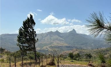 CHAME / SOR / 3088M / GANGA / DESARROLLO ECOLOGICO / AG