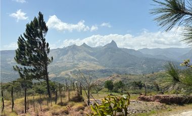 CHAME / SOR / 3088M / GANGA / DESARROLLO ECOLOGICO / AG