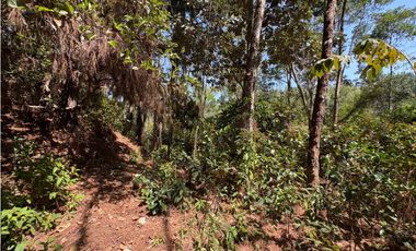 CHAME / SOR / 3088M / GANGA / DESARROLLO ECOLOGICO / AG