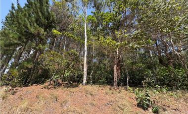 CHAME / SOR / 3088M / GANGA / DESARROLLO ECOLOGICO / AG