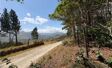 CHAME / SOR / 3088M / GANGA / DESARROLLO ECOLOGICO / AG