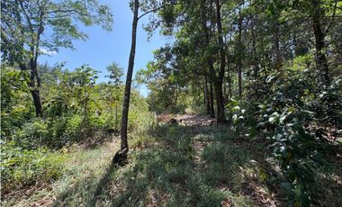 CHAME / SOR / 3088M / GANGA / DESARROLLO ECOLOGICO / AG