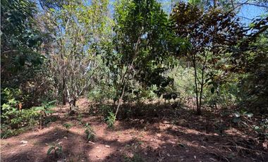 CHAME / SOR / 3088M / GANGA / DESARROLLO ECOLOGICO / AG