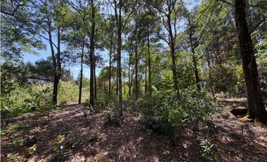 CHAME / SOR / 3088M / GANGA / DESARROLLO ECOLOGICO / AG