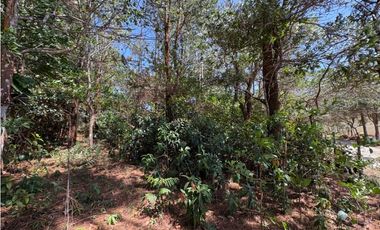 CHAME / SOR / 3088M / GANGA / DESARROLLO ECOLOGICO / AG
