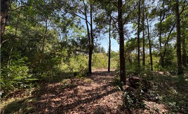 CHAME / SOR / 3088M / GANGA / DESARROLLO ECOLOGICO / AG