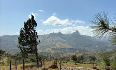 CHAME / SOR / 3088M / GANGA / DESARROLLO ECOLOGICO / AG