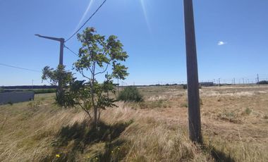 Venta Lote Zona Faro 595 m² - Quequén