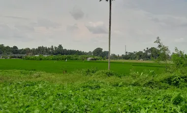 6 Bedroom Villa for sale in Ubud, Bali