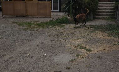 Casa en arriendo en LO BARNECHEA