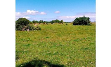 Parcela en Venta en PARCELACION ALTO NOLASCO