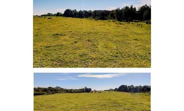 Parcela en Venta en PARCELACION ALTO NOLASCO