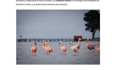 Parcela en Venta en PARCELACION ALTO NOLASCO