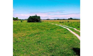 Parcela en Venta en PARCELACION ALTO NOLASCO