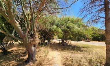 Casa en Venta en COLONIA KENNEDY