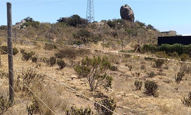 Sitio en Venta en Parcela 132, Sur Oriente, Fundo Santa Inés Los Vilos