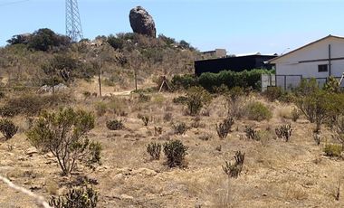 Sitio en Venta en Parcela 132, Sur Oriente, Fundo Santa Inés Los Vilos