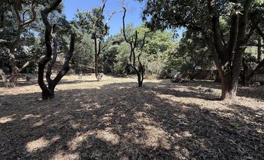 Quinta con excelentes espacios para vivir o gran potencial para desarrollarse