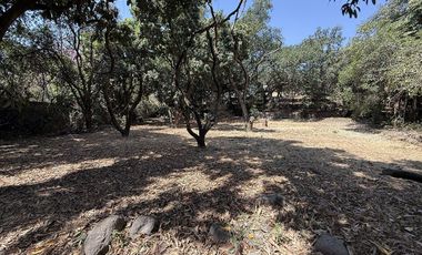 Quinta con excelentes espacios para vivir o gran potencial para desarrollarse