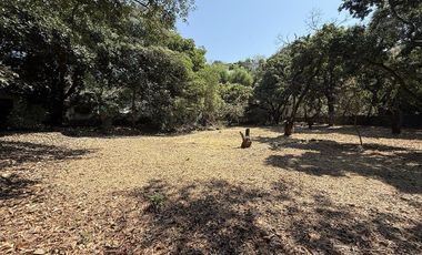 Quinta con excelentes espacios para vivir o gran potencial para desarrollarse