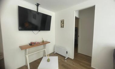 Arriendo Dpto. Pucón Año Corrido