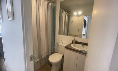 Arriendo Dpto. Pucón Año Corrido